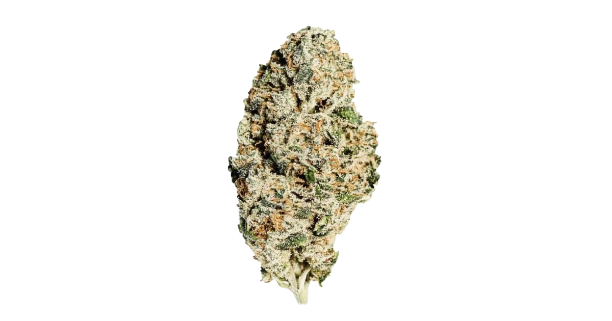 Tropical Cookies