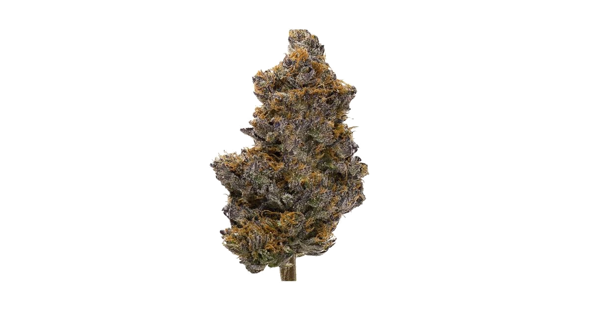 Tropical Cooler