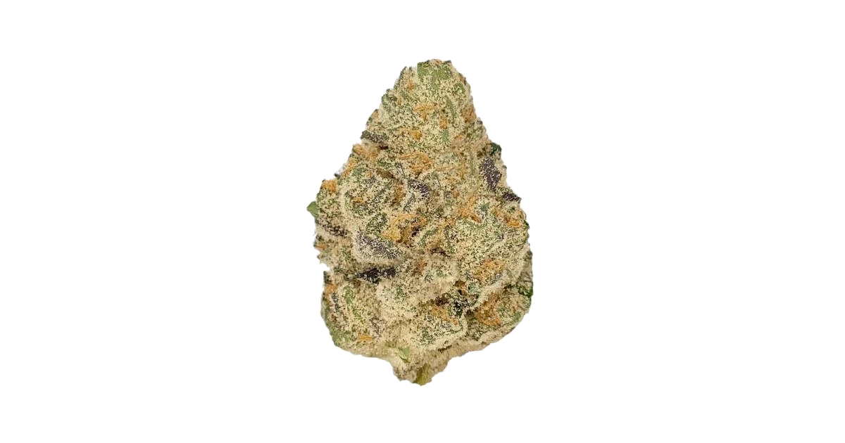Tropical Punch