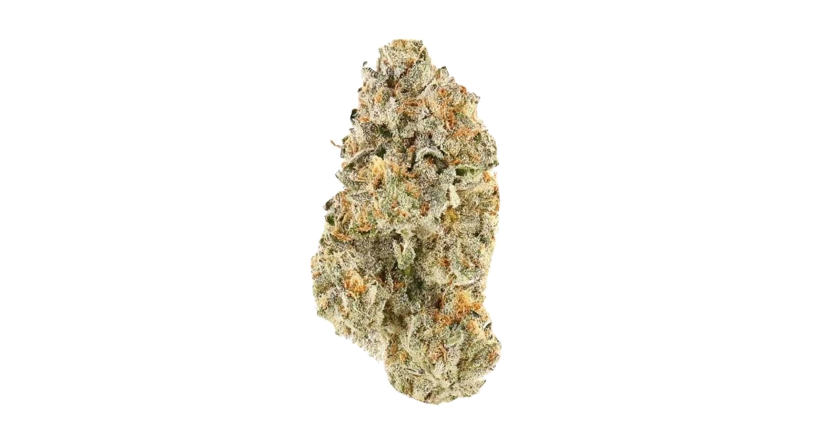 Tropical Tangie