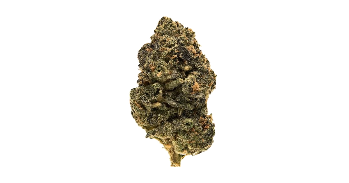 Tropical Trainwreck