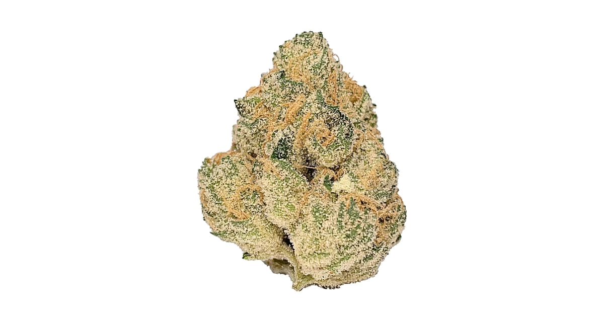 Tropical Z