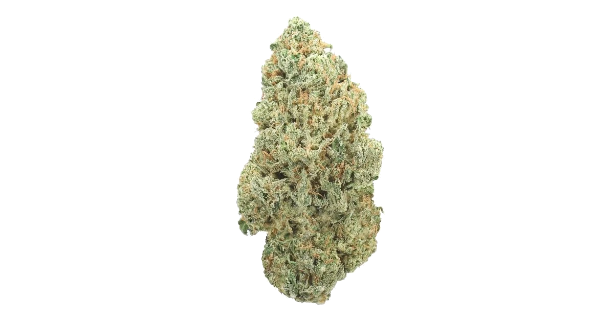 Tropicanna
