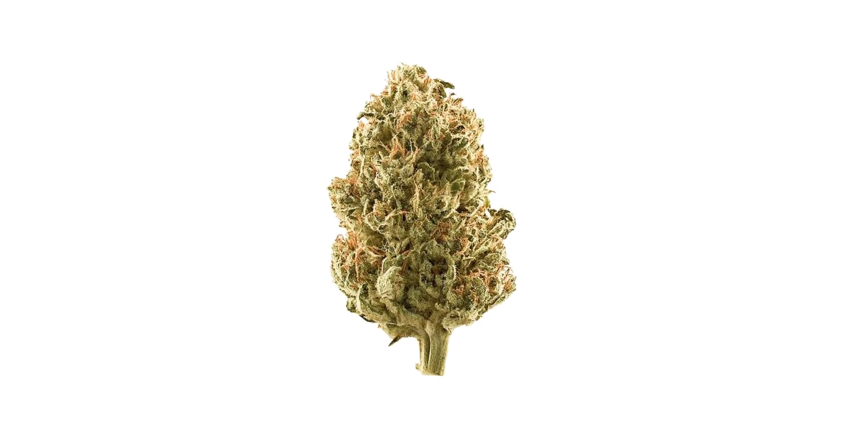 Twisted Citrus