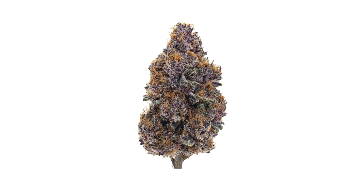 Vanilla Berries