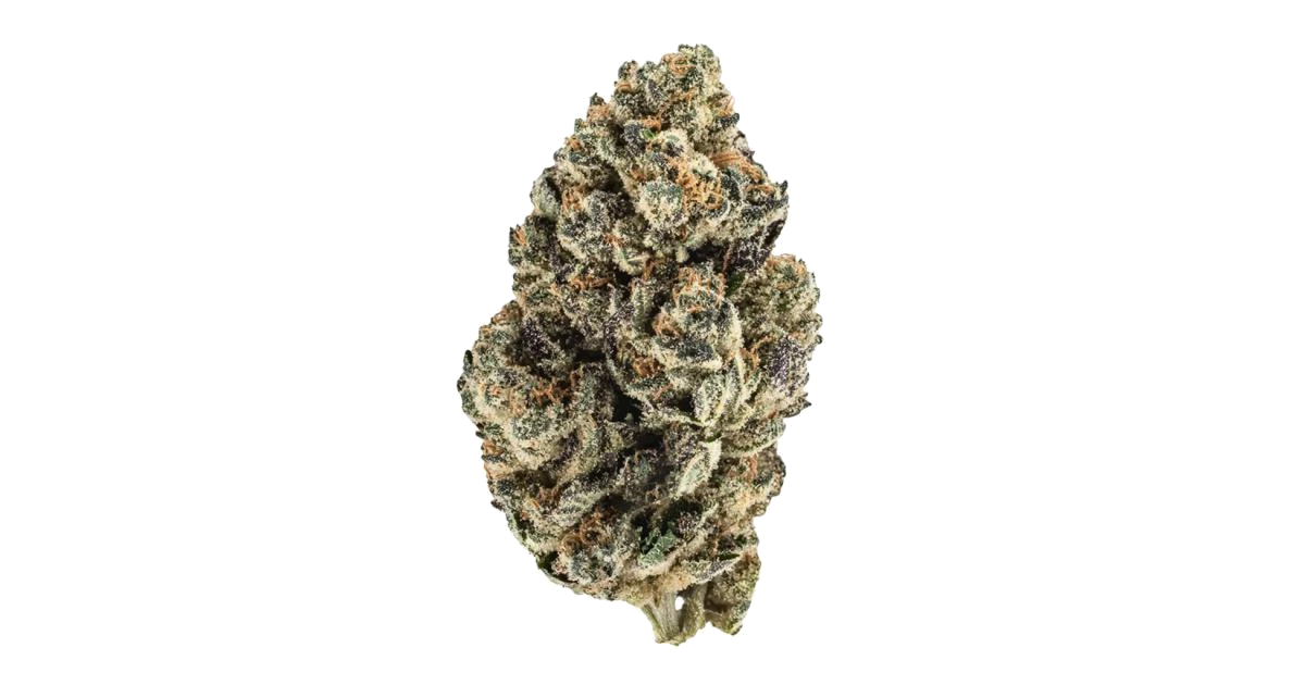Warhead