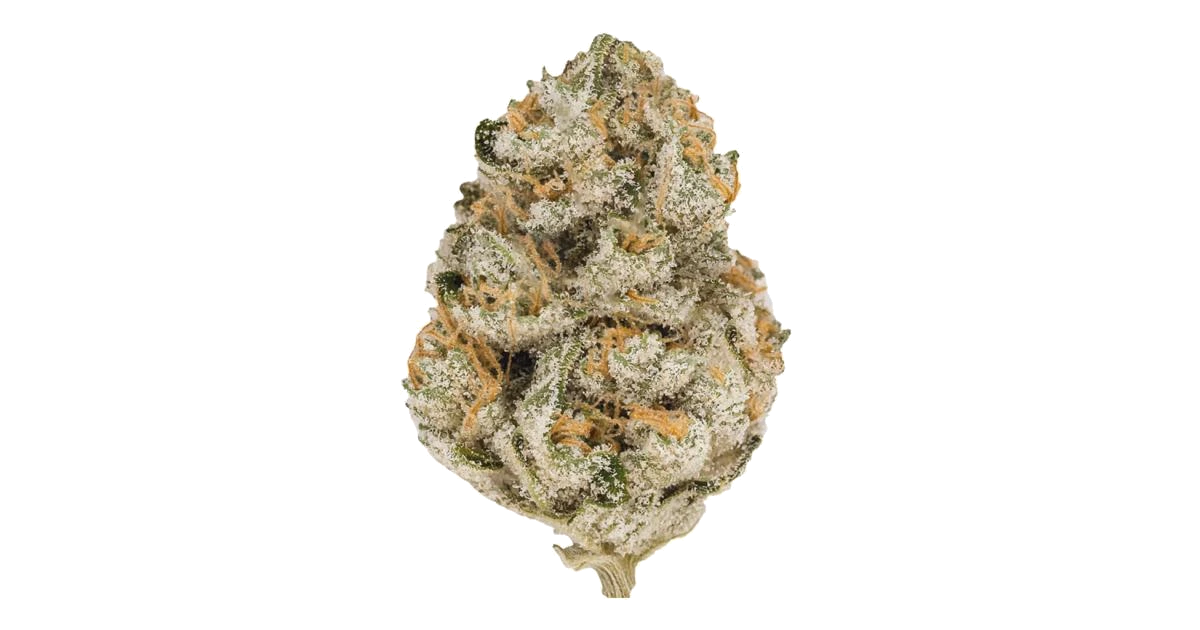 Watermelon Gelato