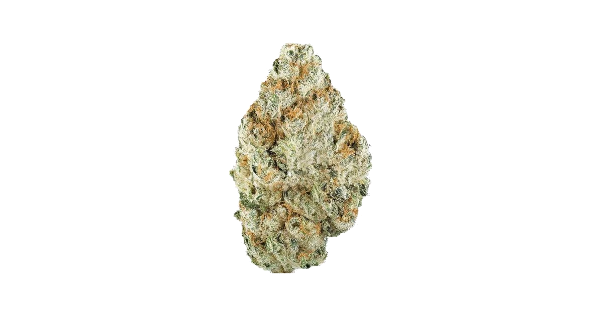White Cherry Blossom