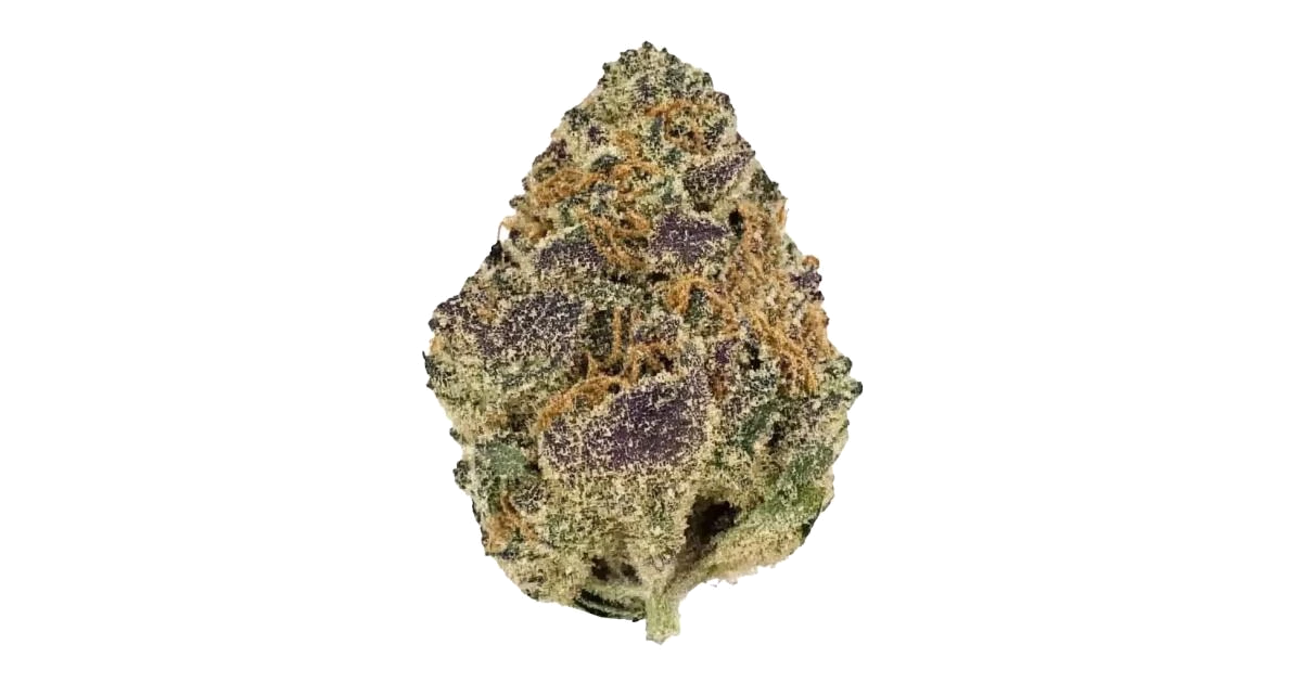 White Cherry Gelato