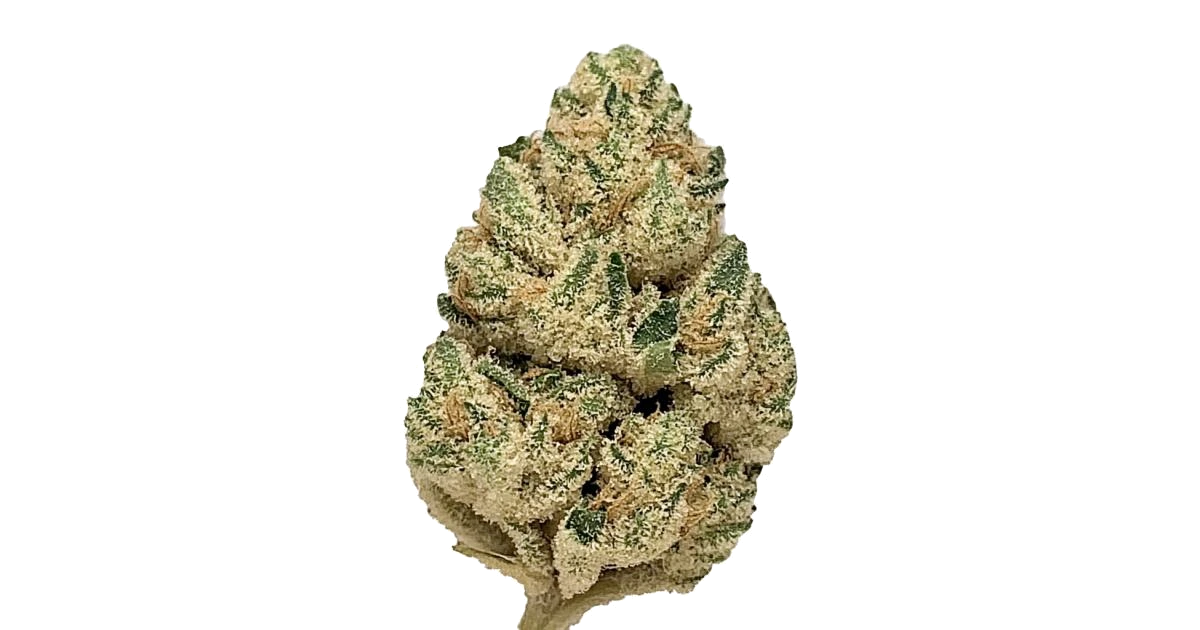 White Guava