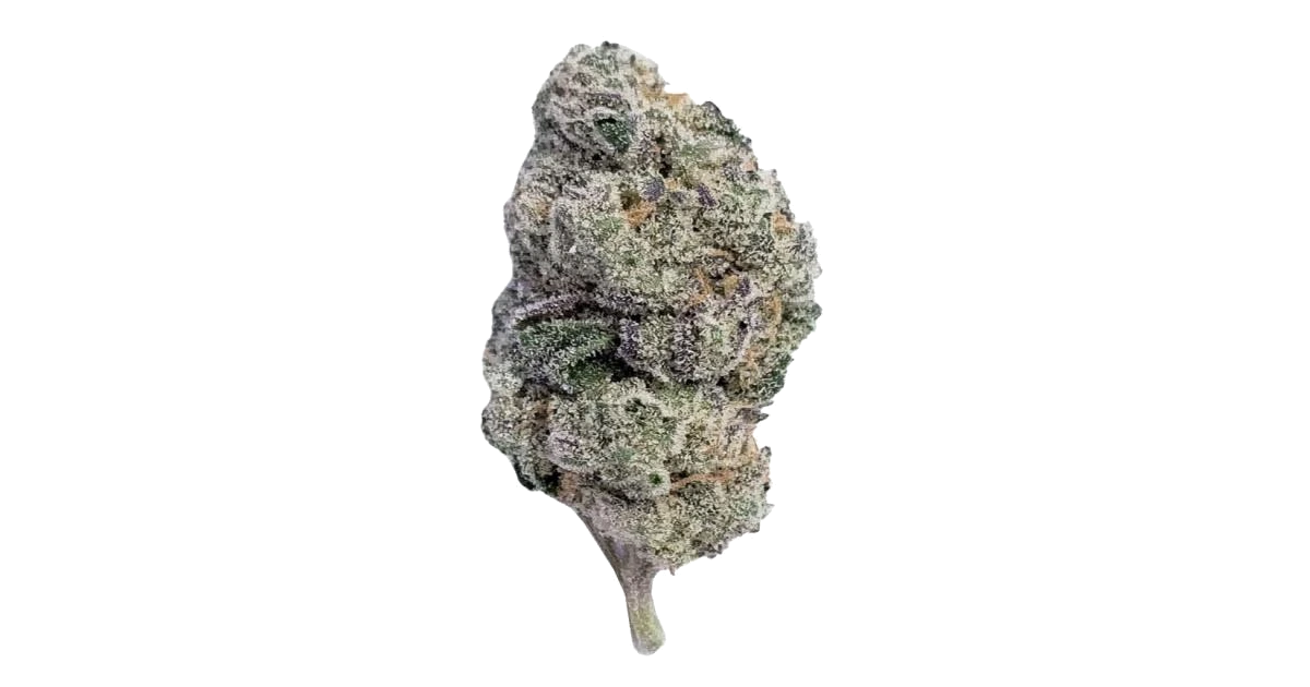 White Gummy