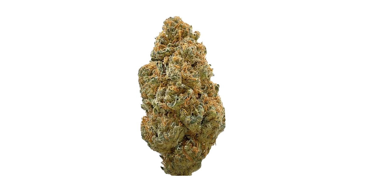 White Shark