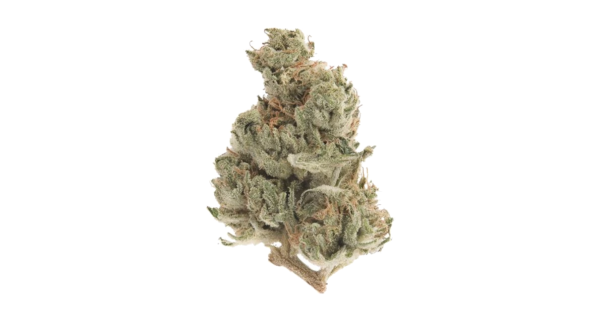 White Walker Kush