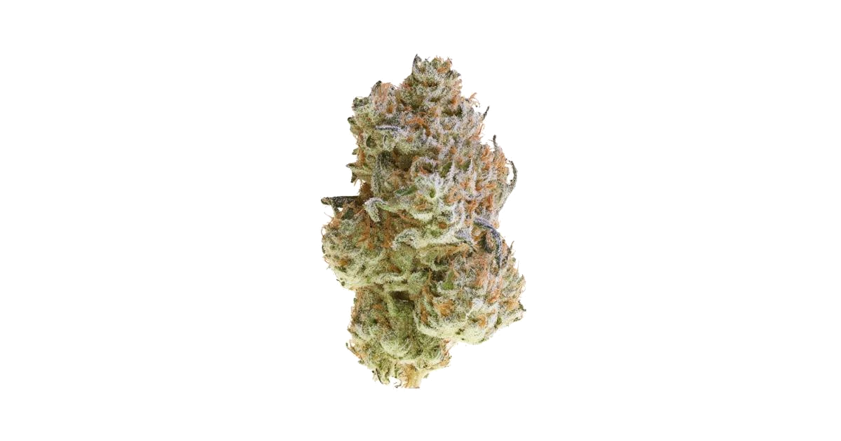 White Zangria
