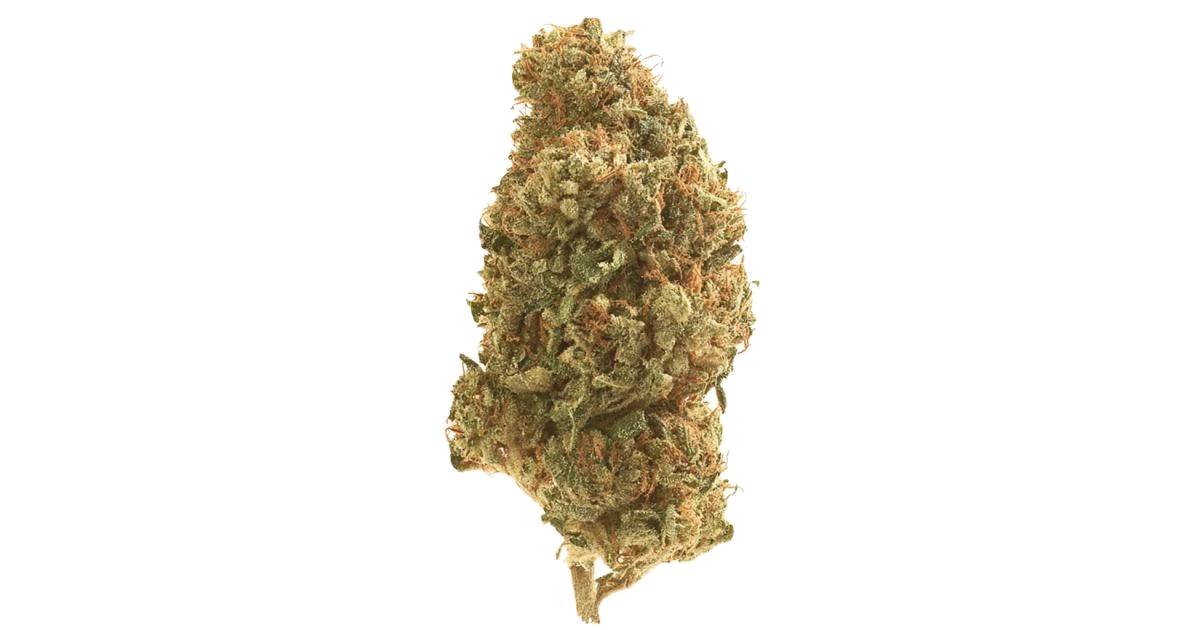 White Zlushiez