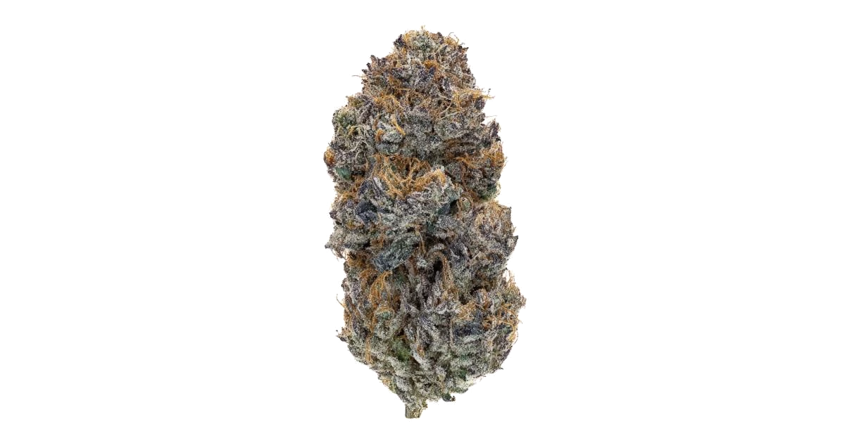 Znickerdoodle