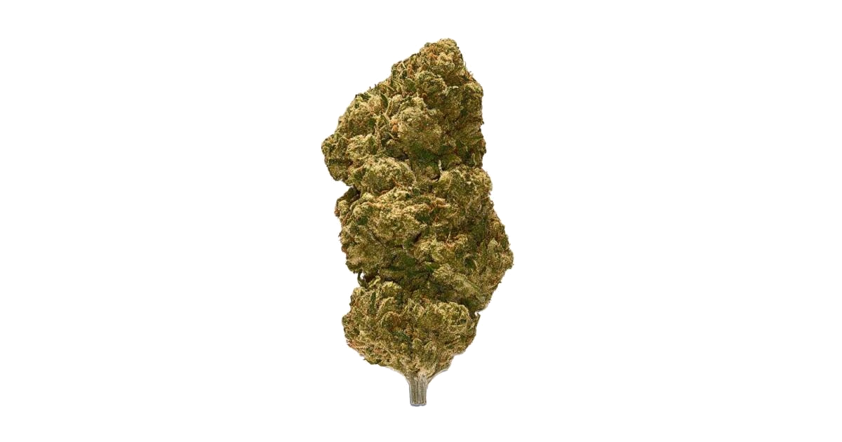 Zombie OG