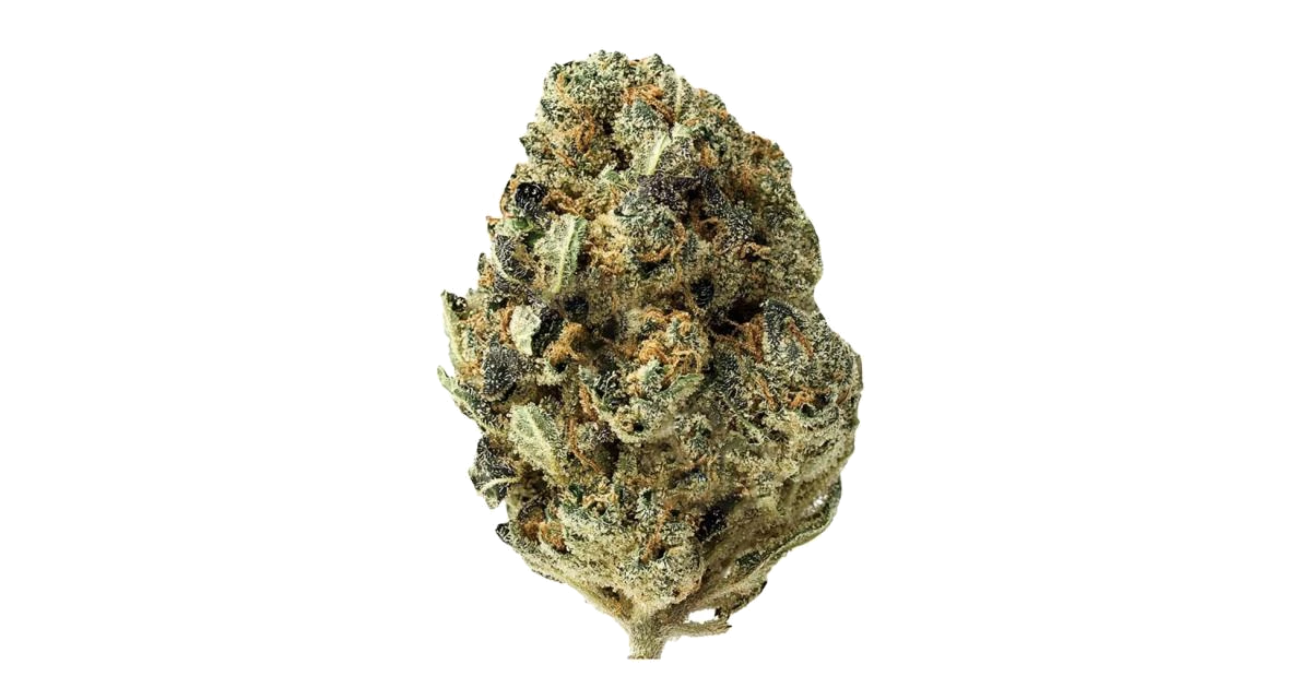 Zookies