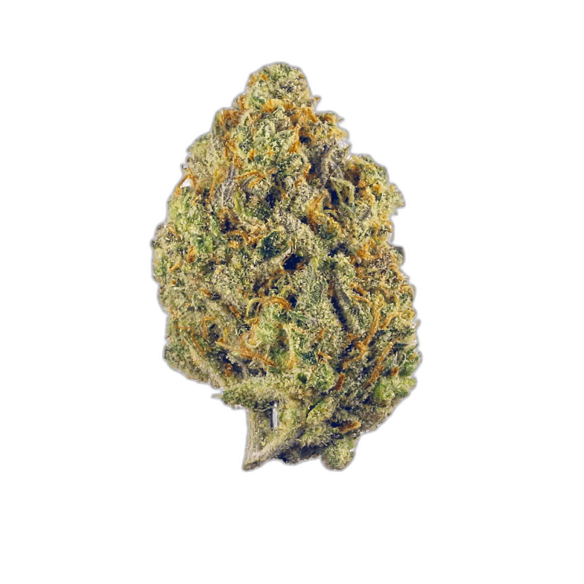 Abusive OG