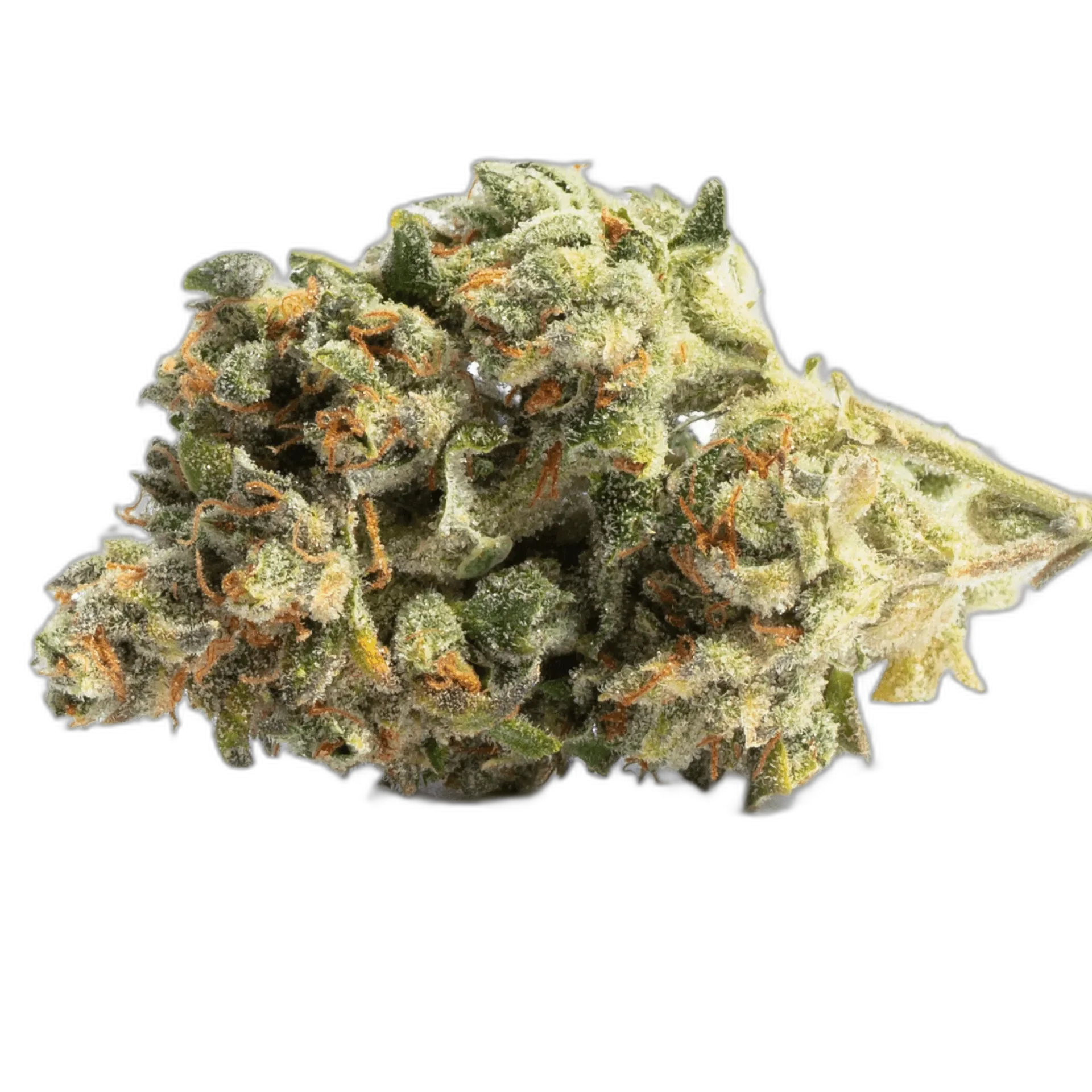 Acapulco Gold