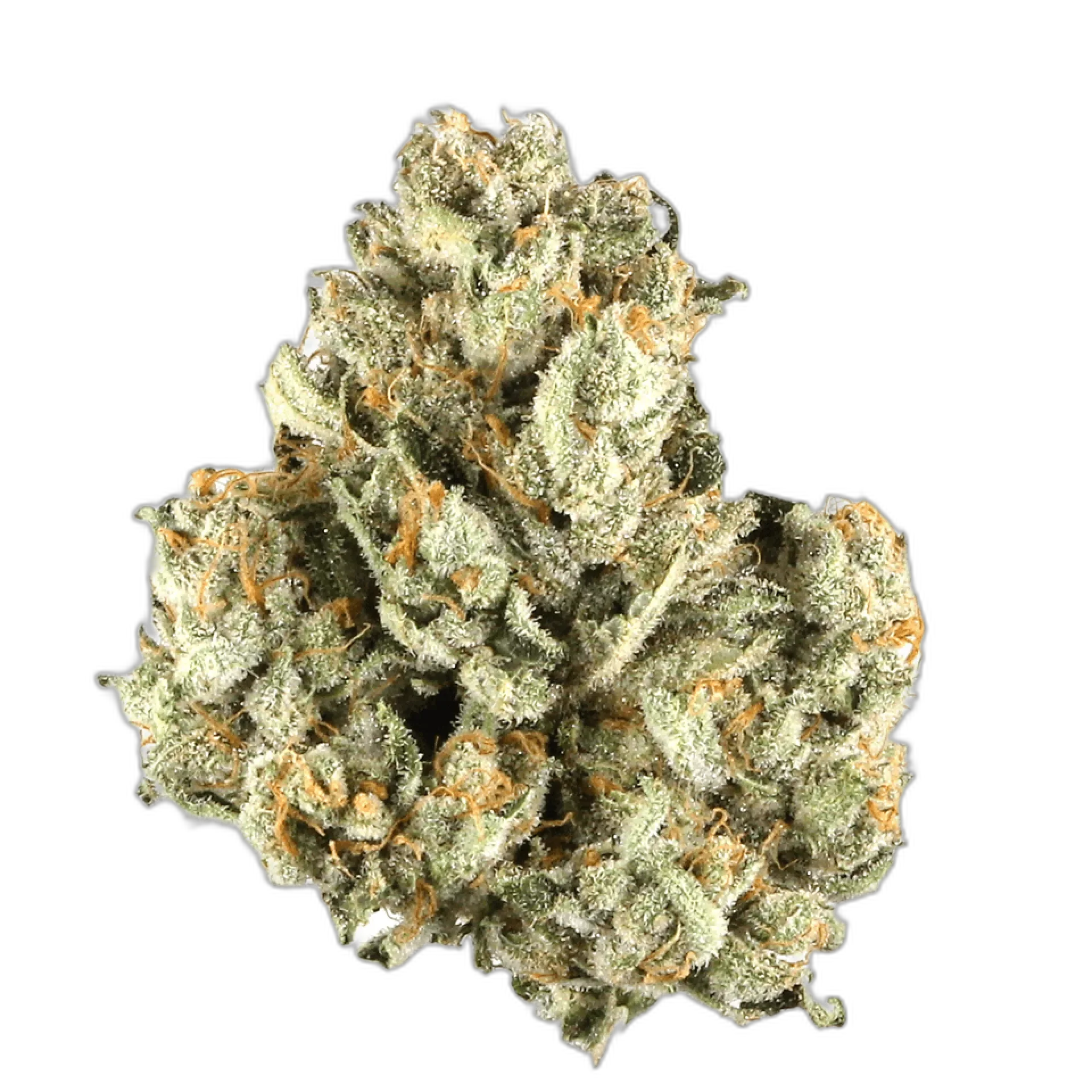 Afghan Kush