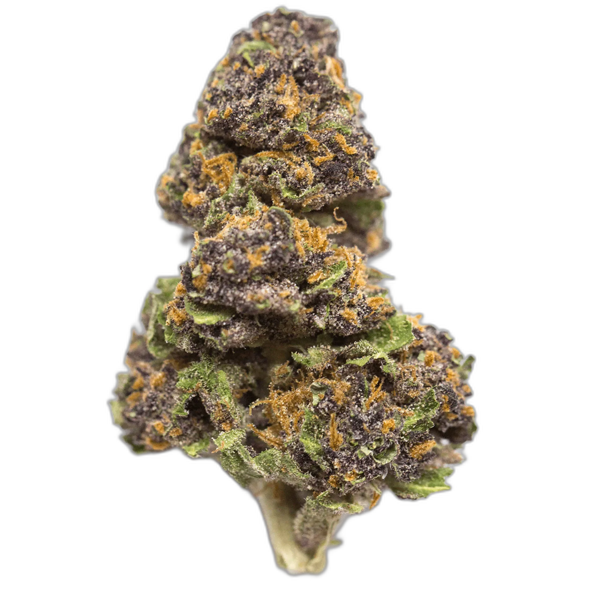 Agent Orange