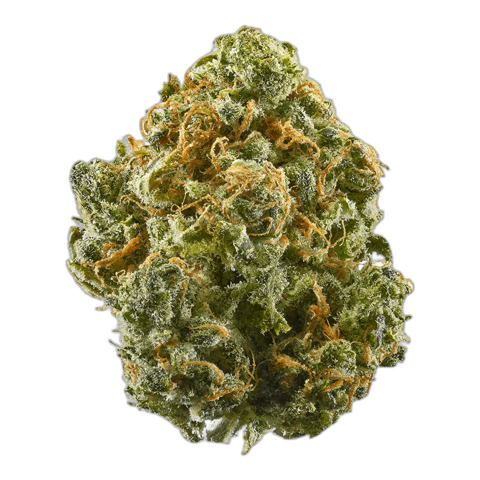 Alaskan Thunder Fuck