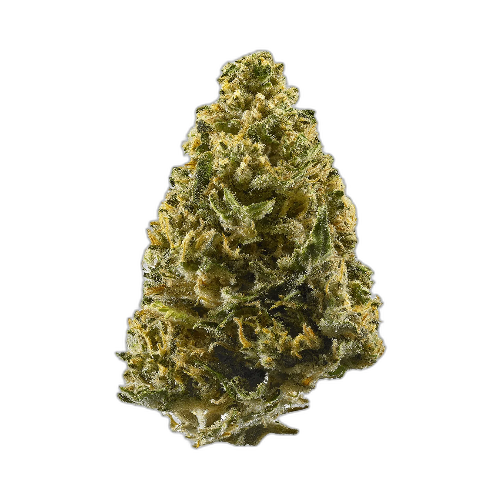 Alien Cookies