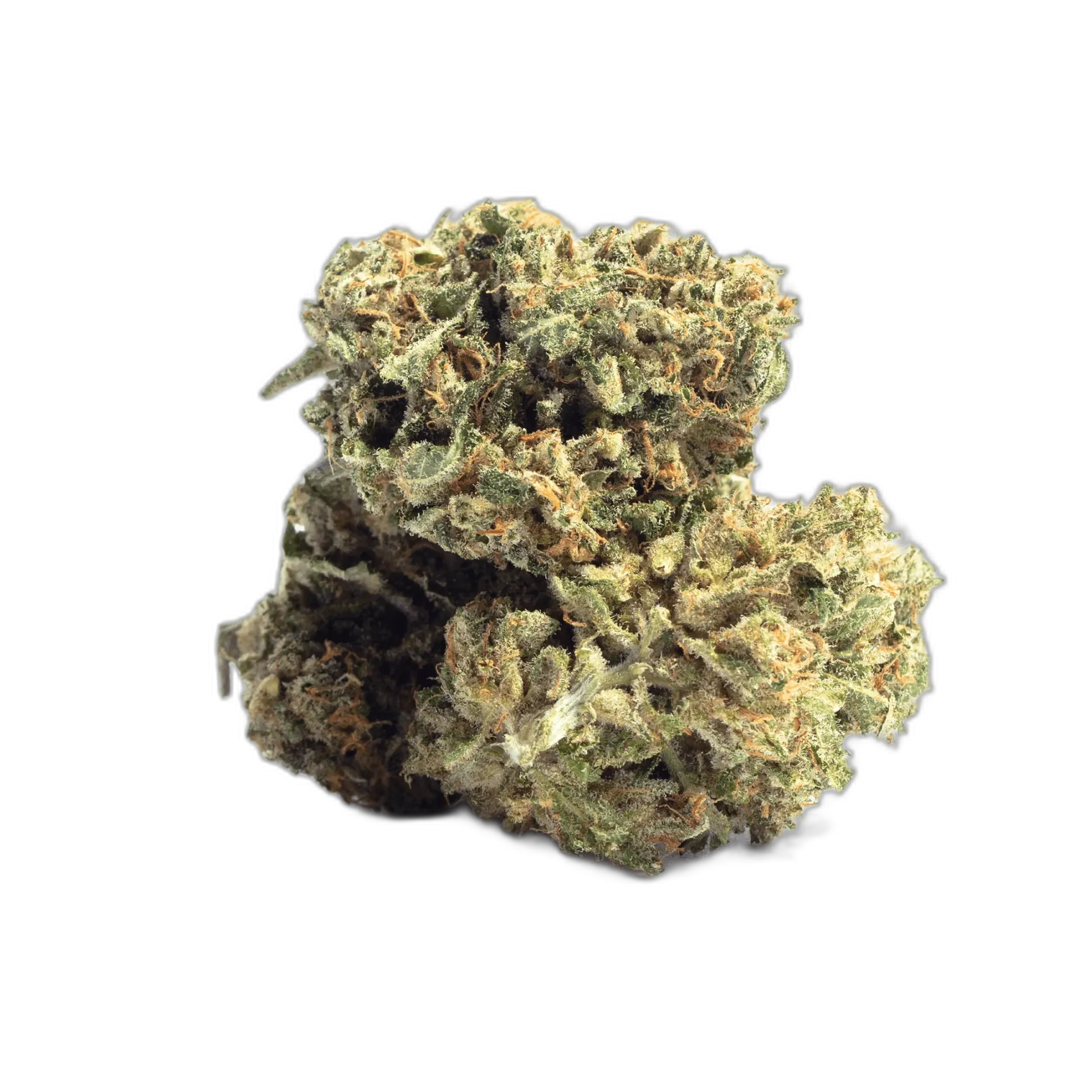Alien Dawg
