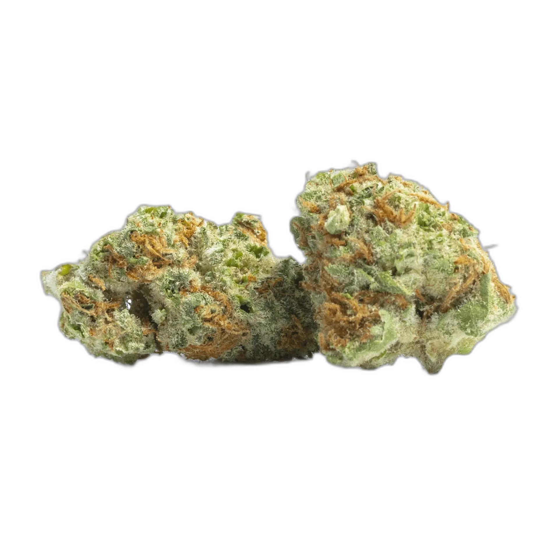 Alien Kush