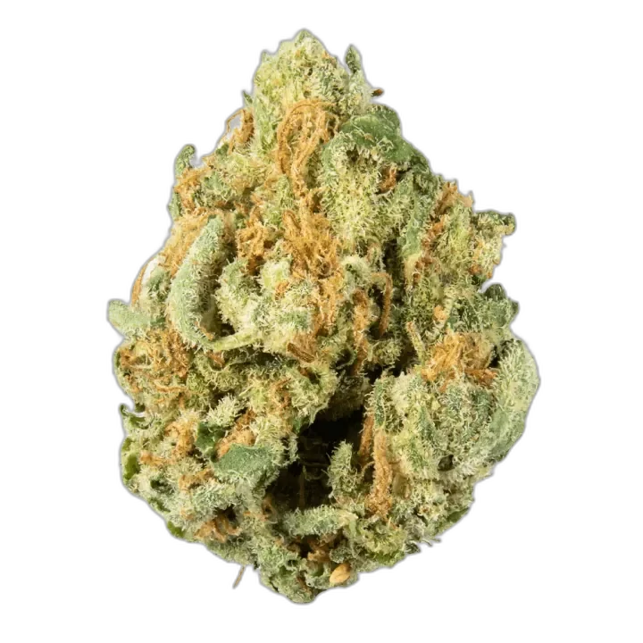 Alien OG