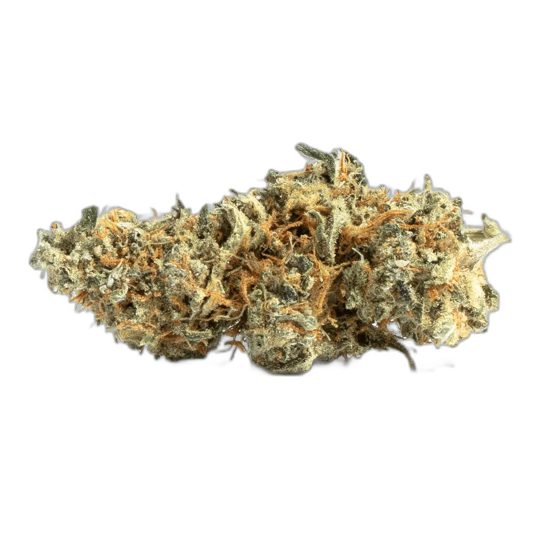 Amnesia