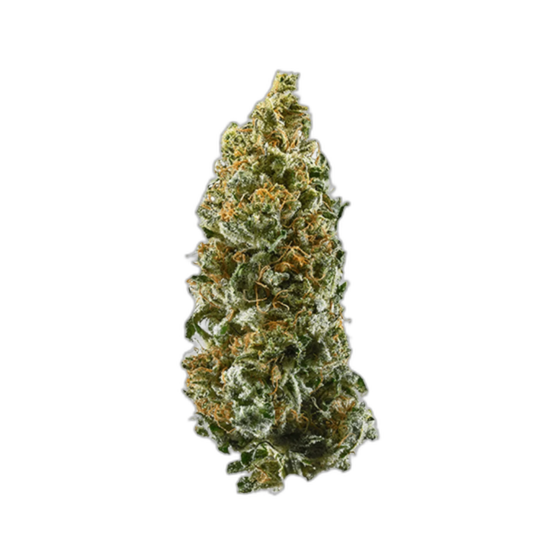 Arjan's Strawberry Haze