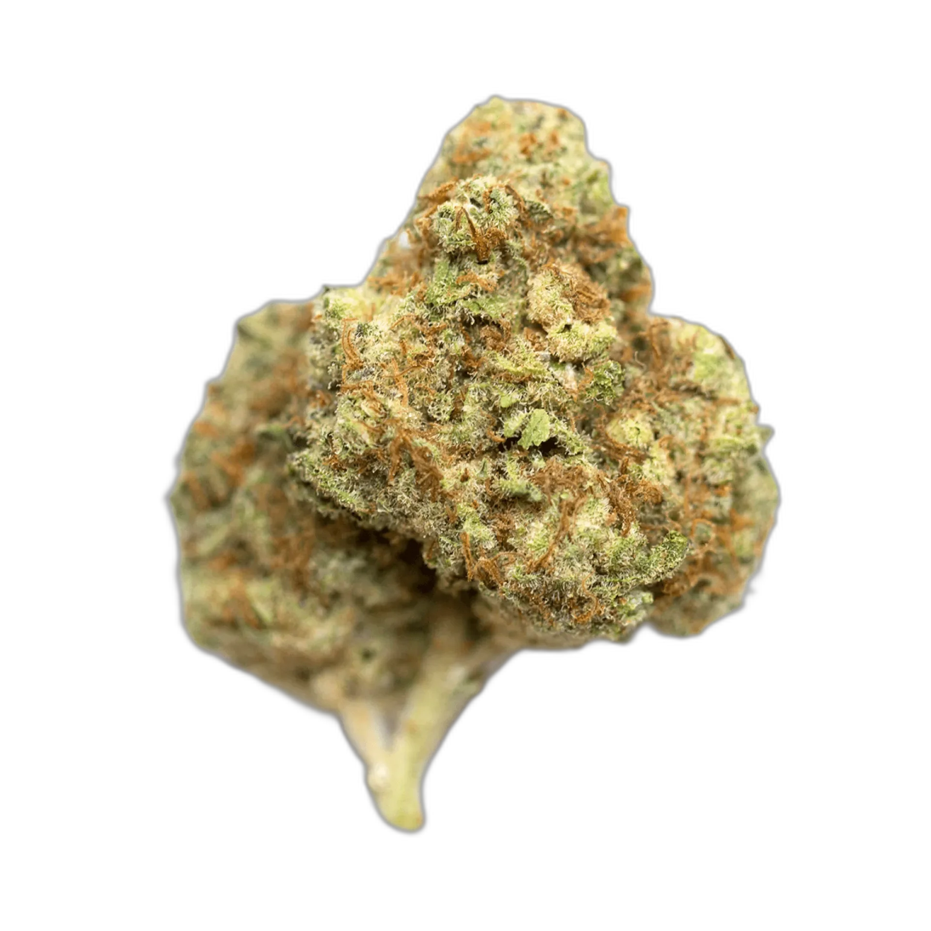 Atomic Northern Lights