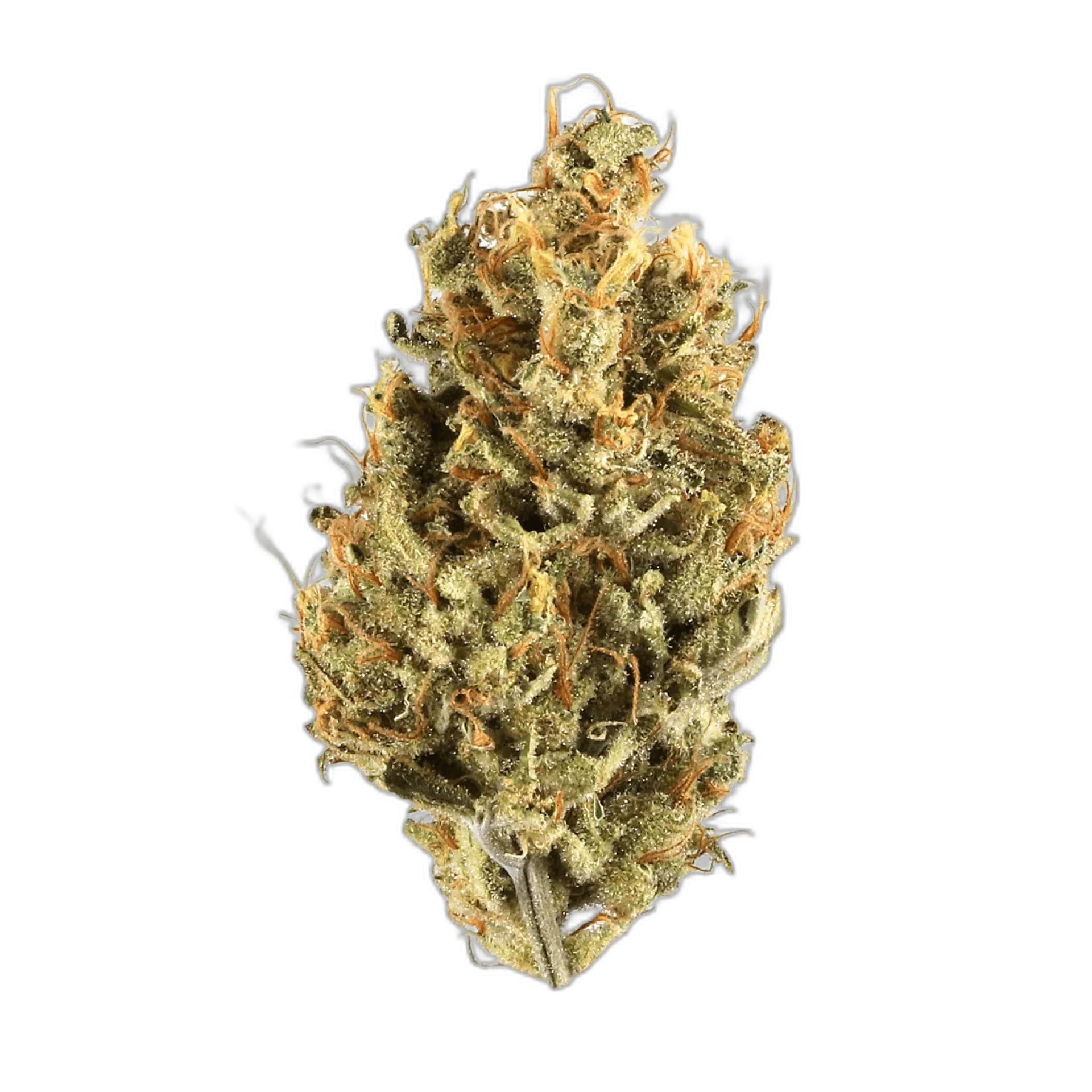 Banana OG