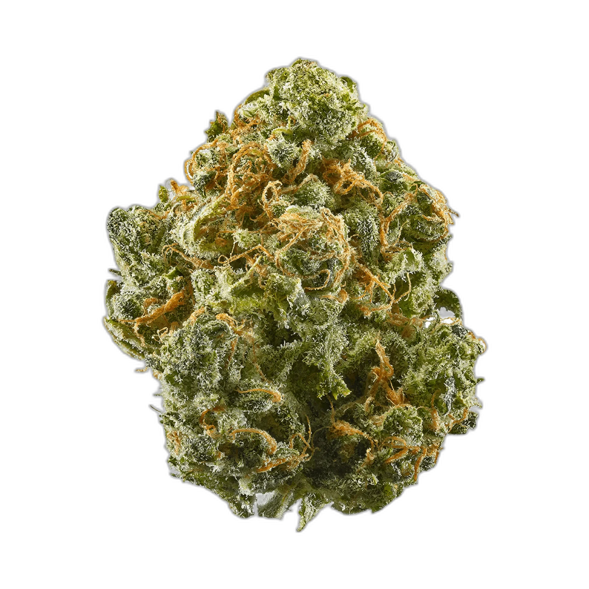 Big Bud
