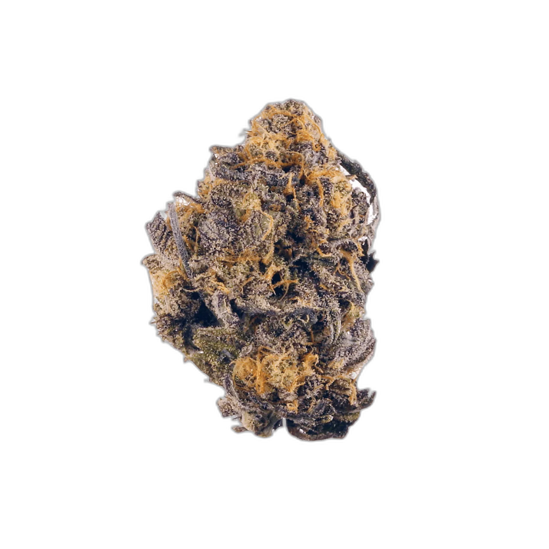 Black Diamond