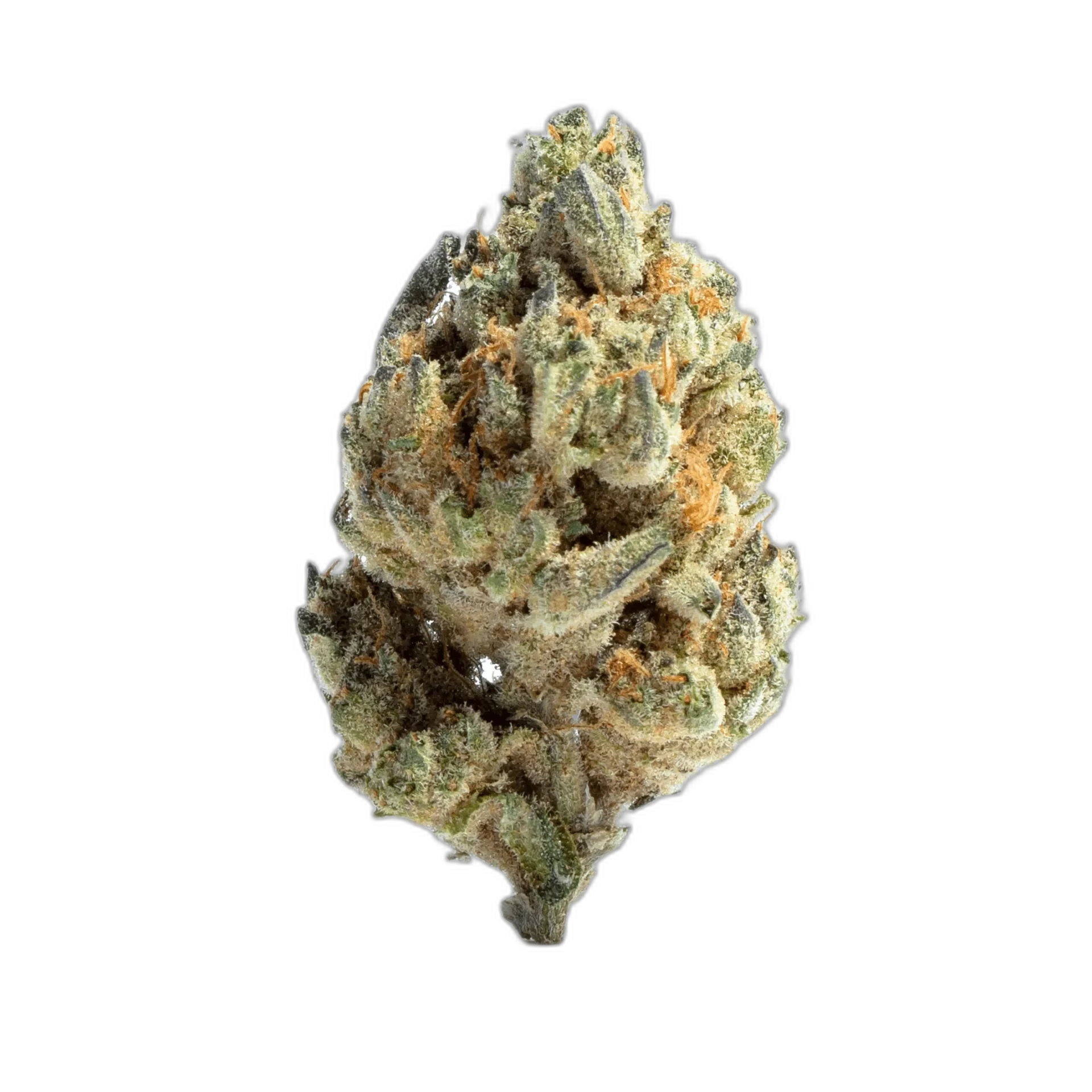 Black Widow