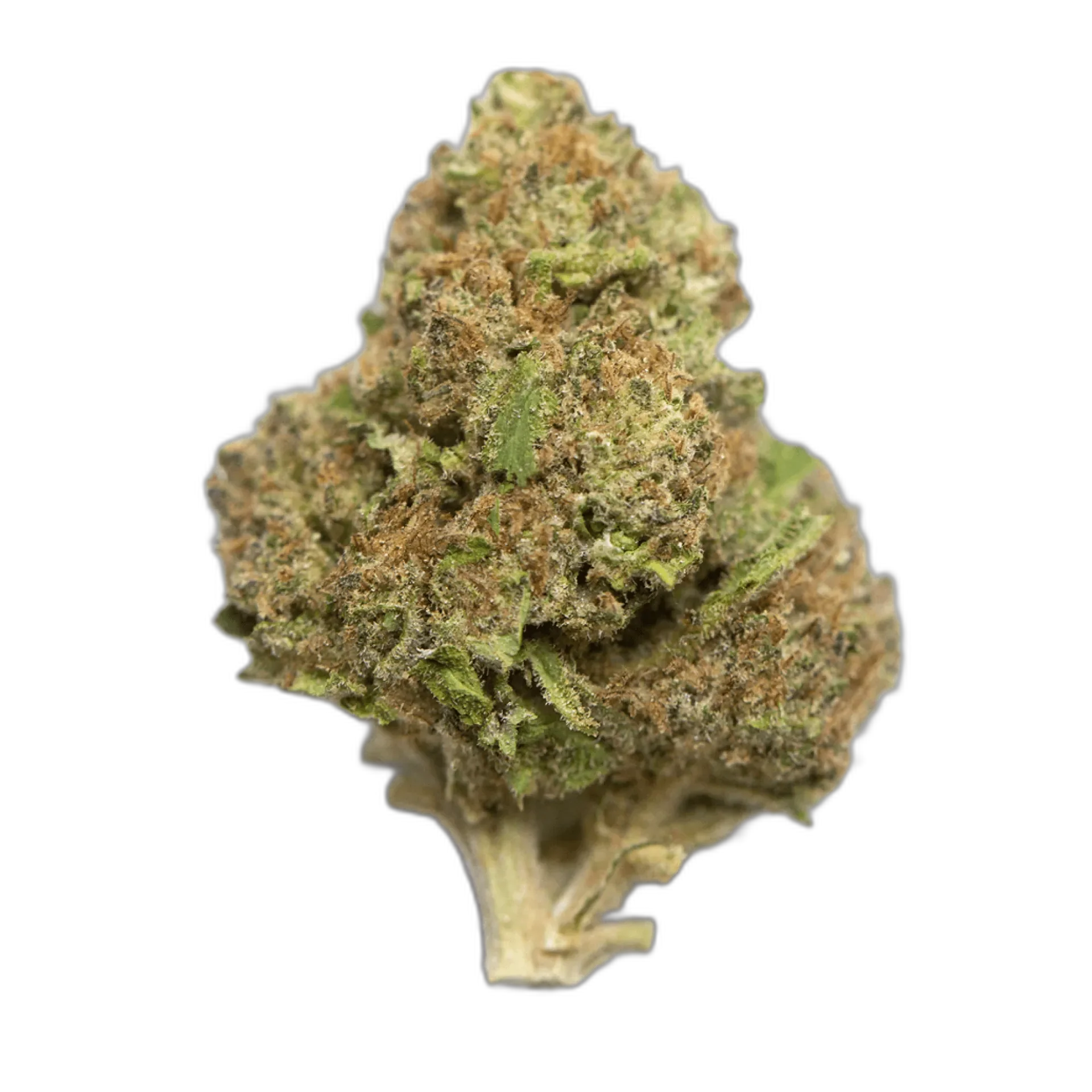 Blue Diesel