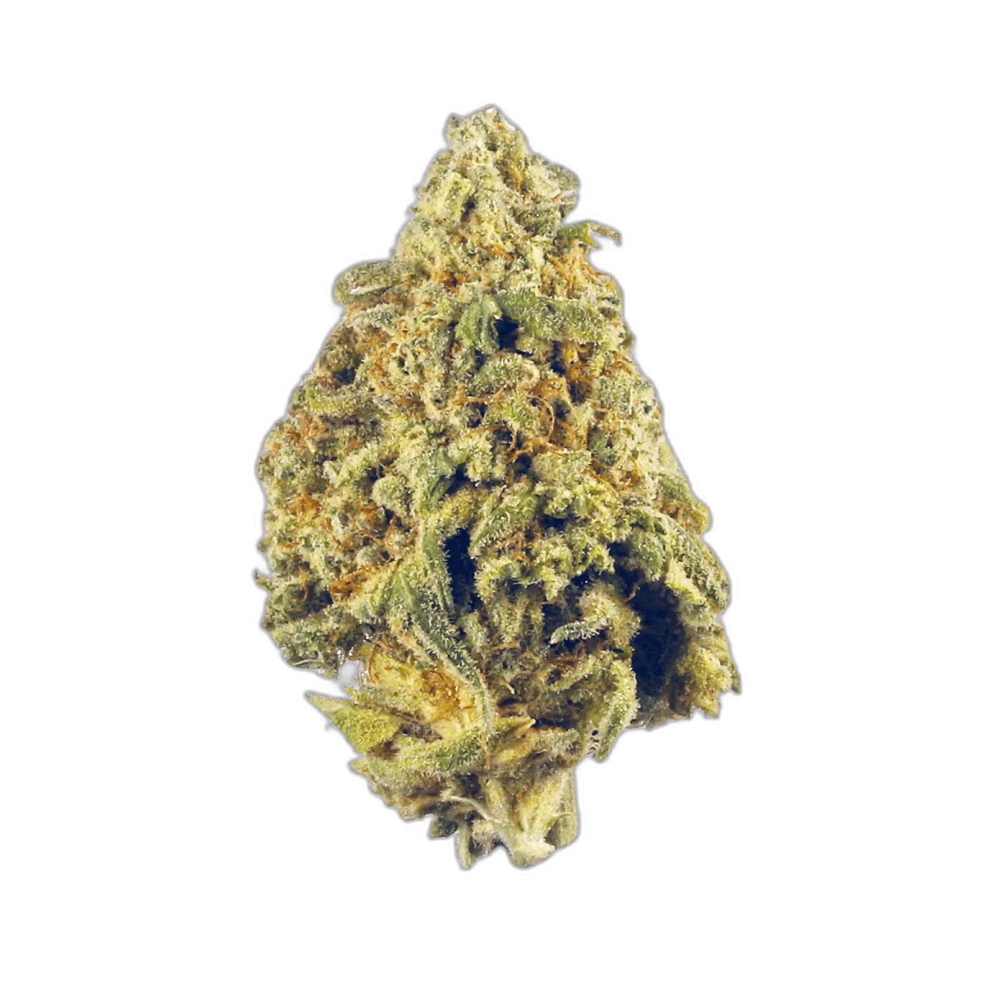 Blue Haze