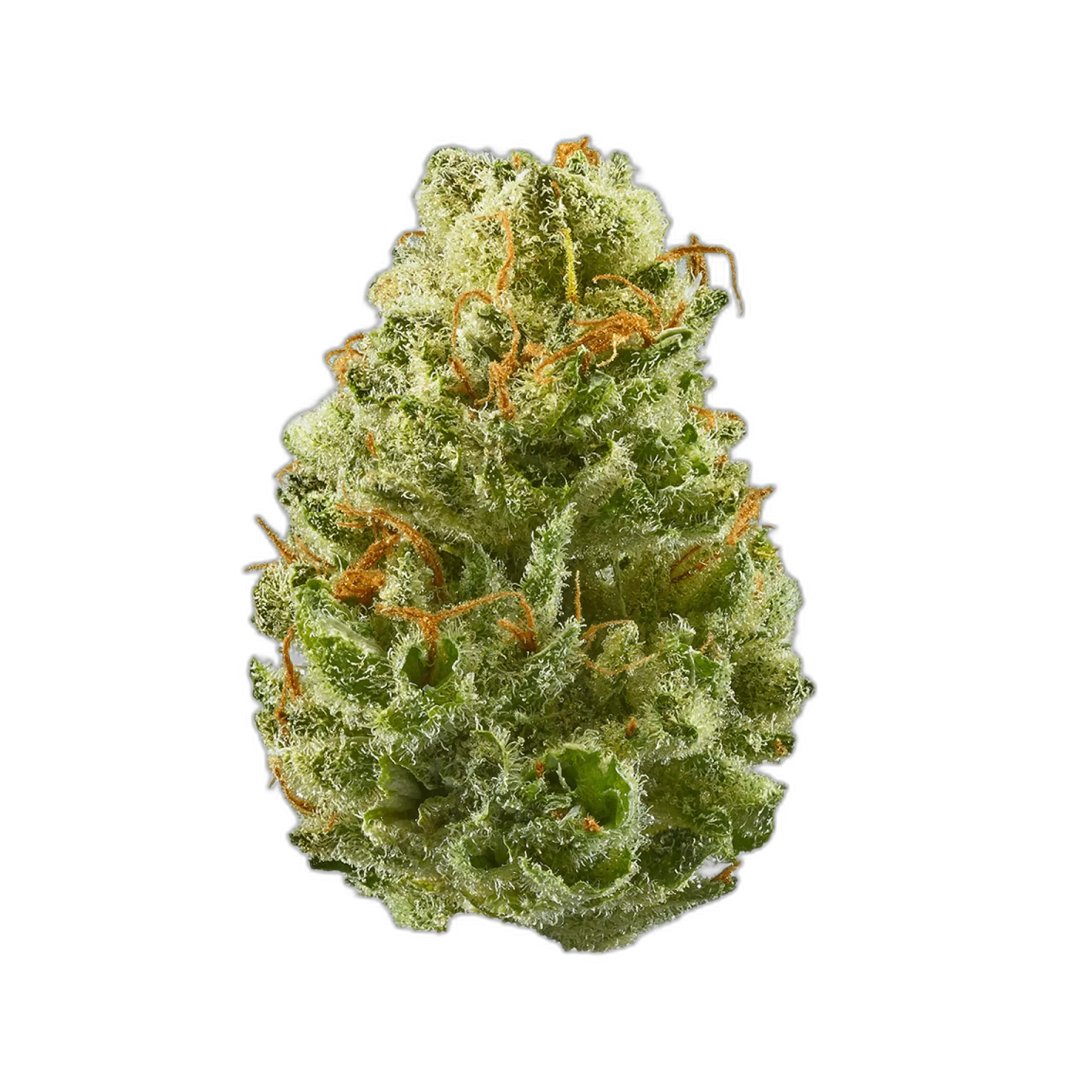 Blue Mystic