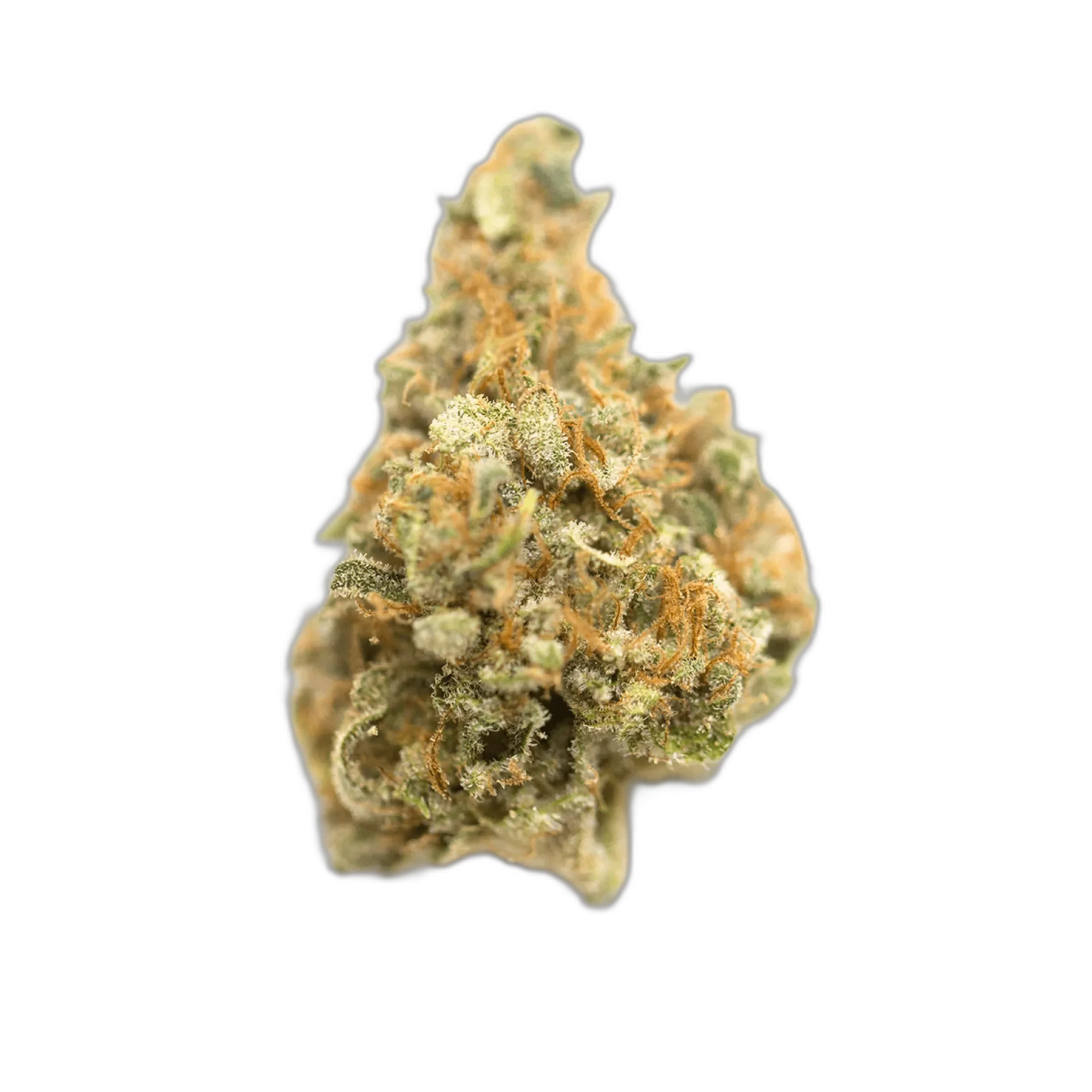 Blue Rhino