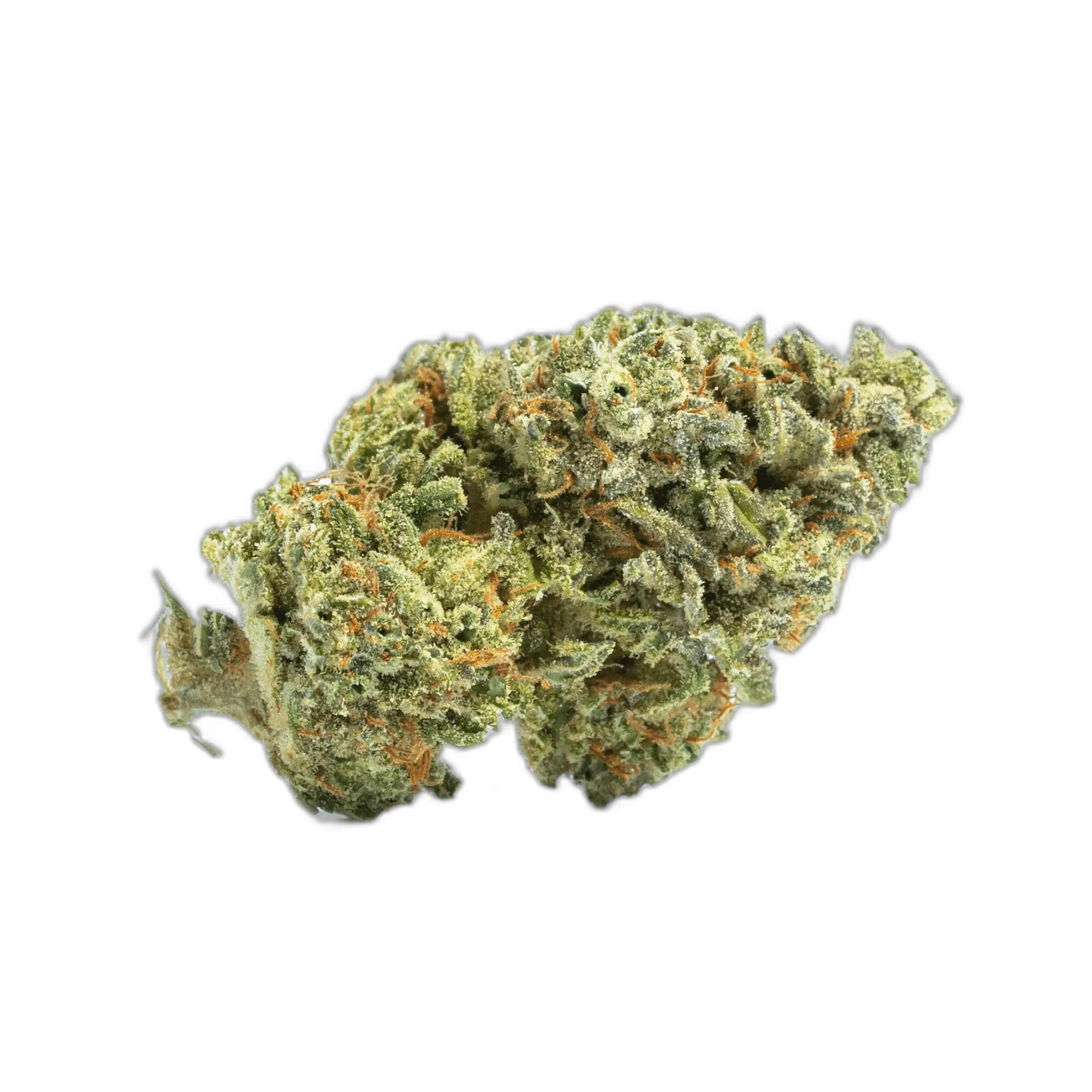 Blueberry Cheesecake