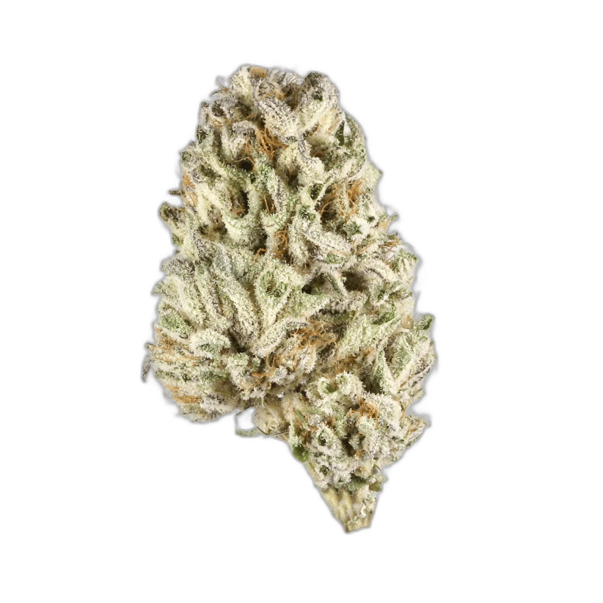 Blueberry Haze