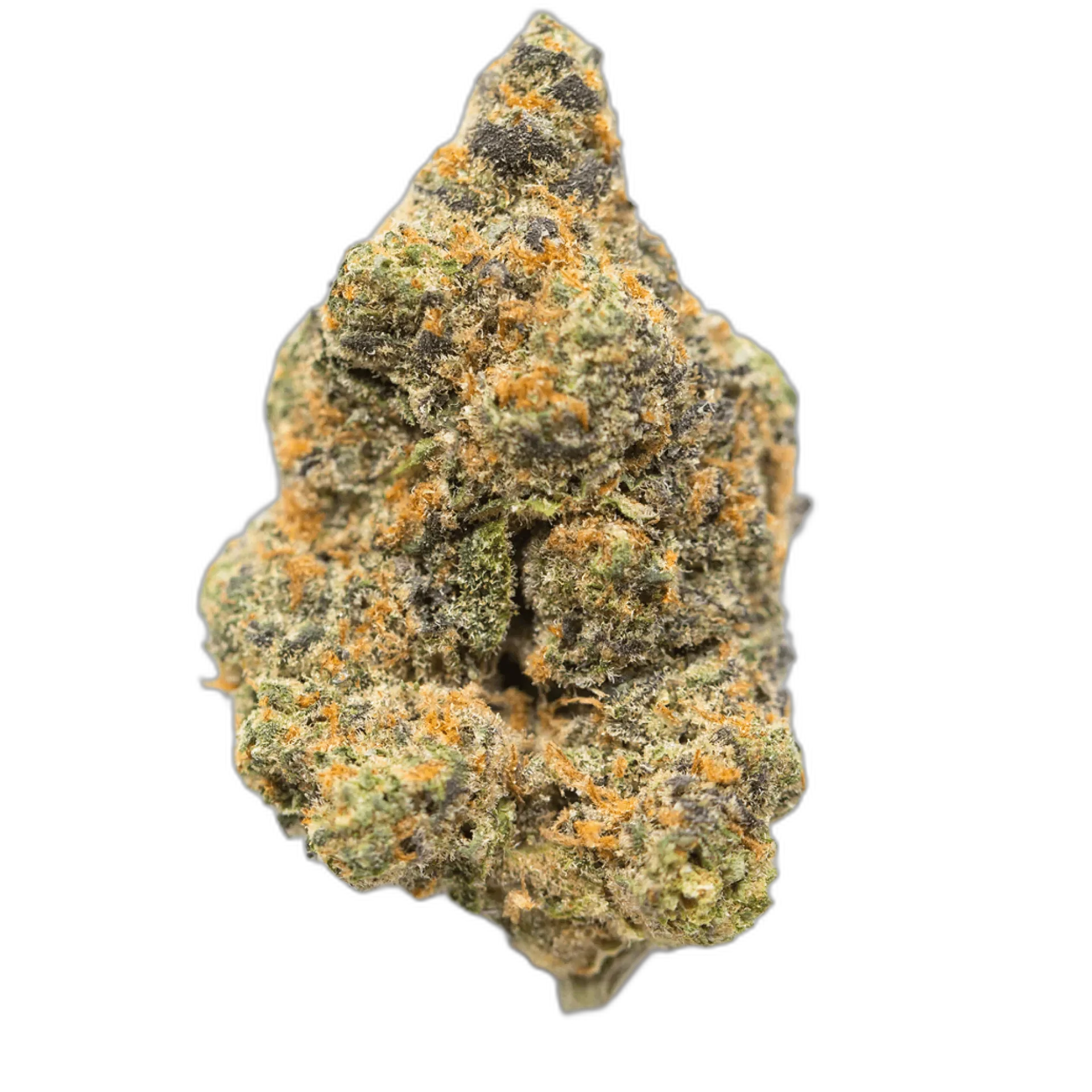 Bruce Banner