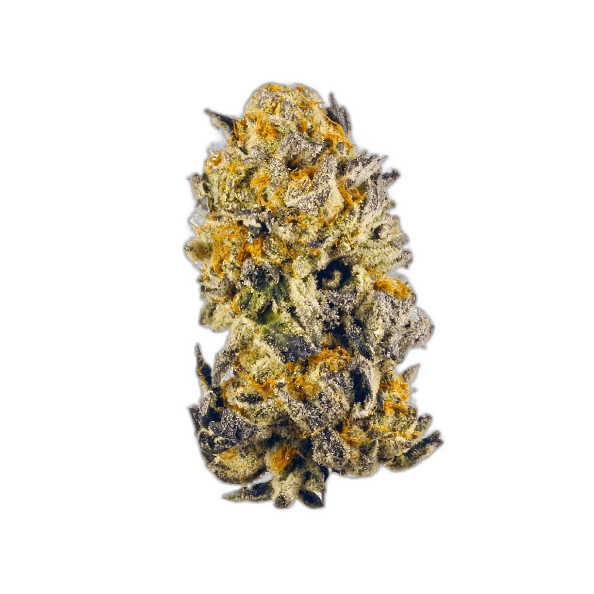 Cherry Kush