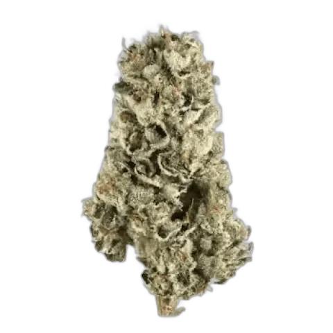 Cherry Pie