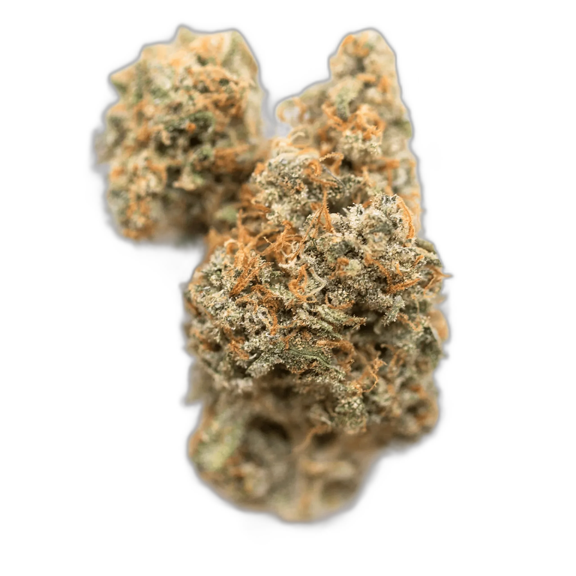 Citradelic Sunset