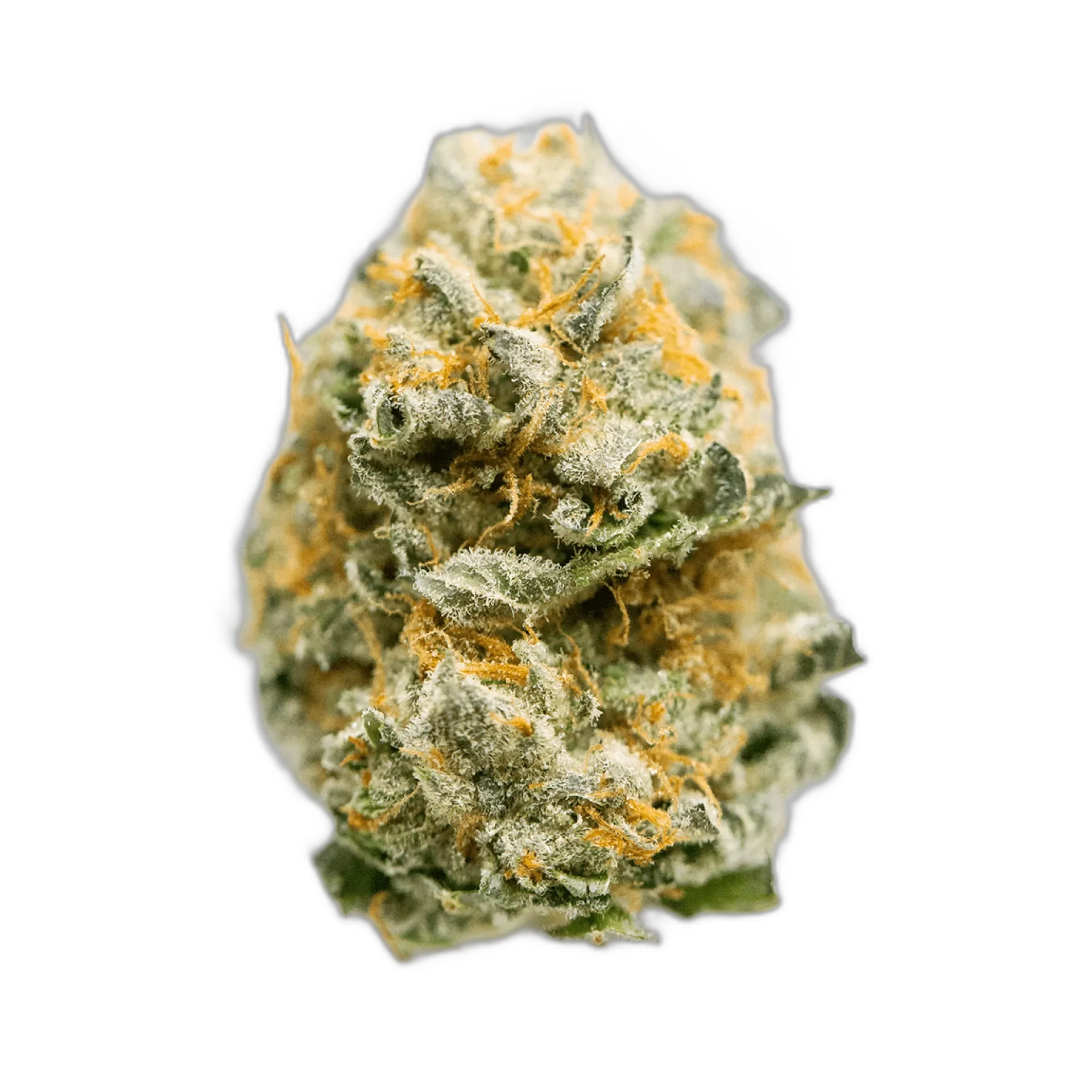 Cotton Candy Kush