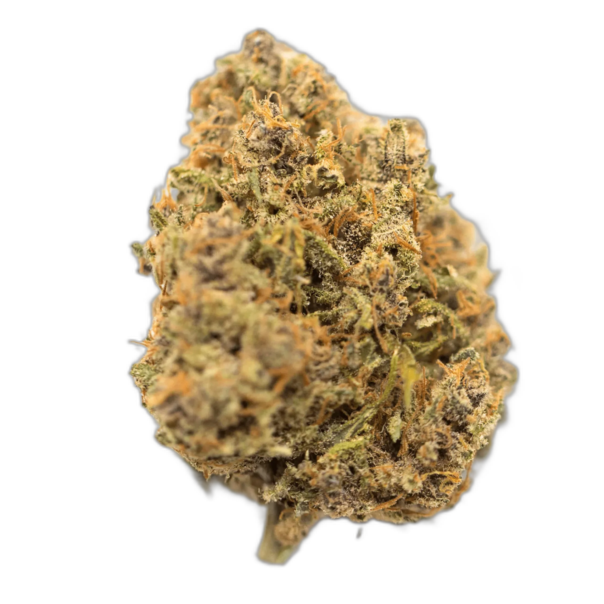 Critical Mass